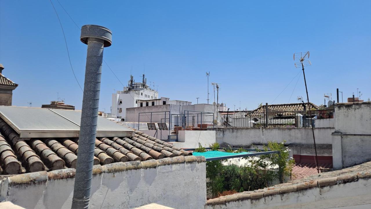 Apartamento Verde, Tranquilo, 2 D, Parking Opcional Sevilla Exteriör bild